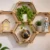 Wall-mounted hexagonal wooden shelves display plants, a lit house ornament, a globe and a nutcracker